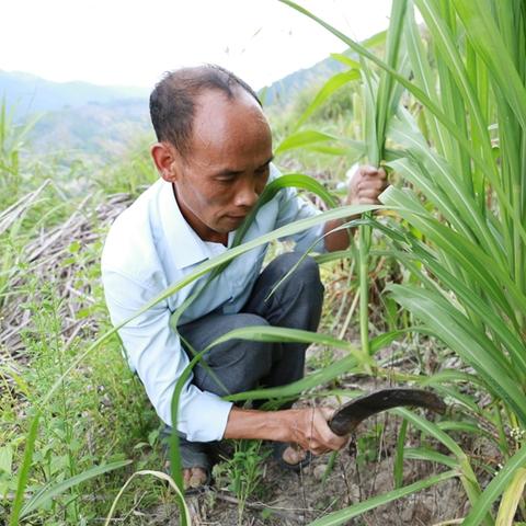安溪跨境电商补贴多少