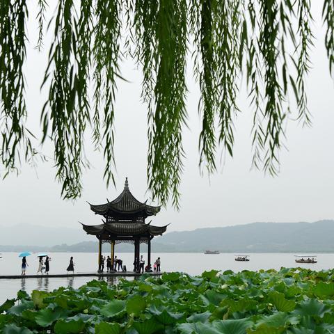 杭州平均气温？