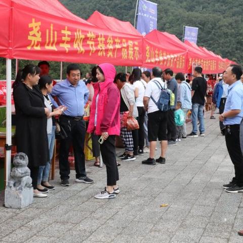 谁知道河南鲁山县有多少个乡镇以及村庄？