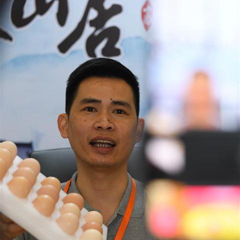 【杭州今日鸡蛋价格】2025年4月19日杭州鸡蛋价格是多少