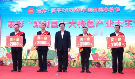 黑土绿耕庆丰年平地生香迎小康吉林·四平2020年中国农民丰收节启幕