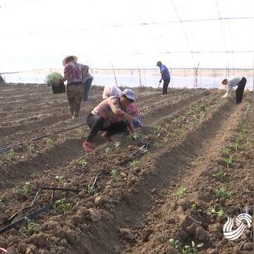 大连人康的相关长尾关键词有哪些