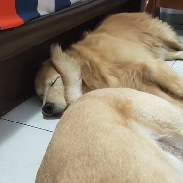 【毛毛老师天津】相关长尾关键词有哪些