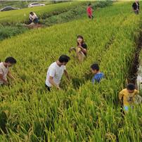 昆明市附二院建档多少钱