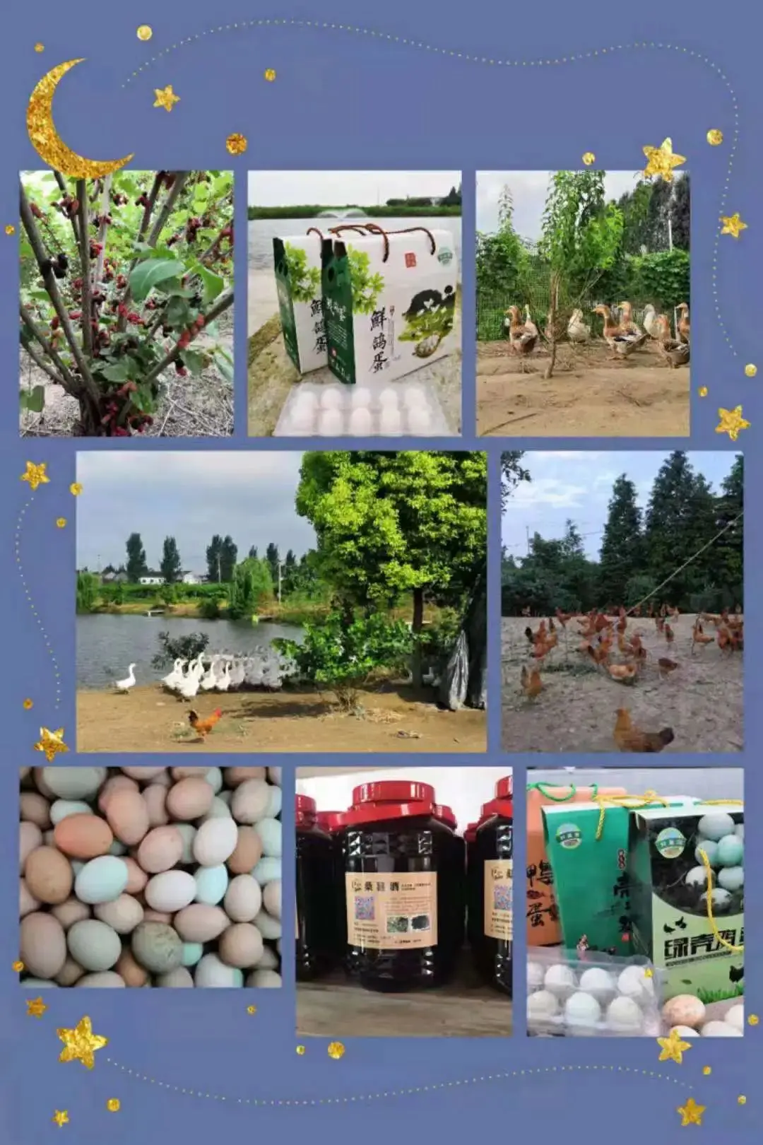 网上带货攻略 直播带货攻略