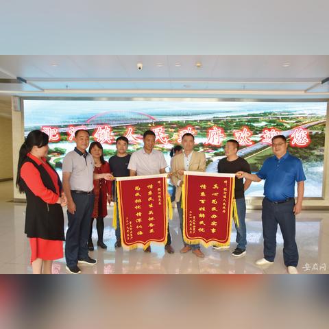 合肥市安置房在哪个区域