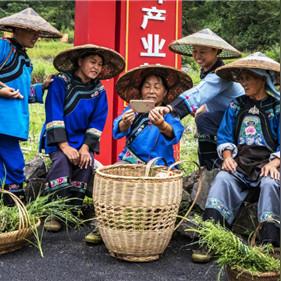 湖南离周口市多少公里