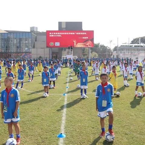 足球运动员劳动实践报告的长尾关键词有哪些