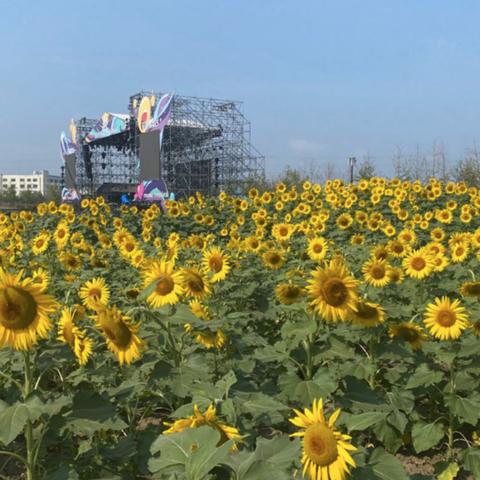 无锡市吉祥物的长尾关键词有哪些