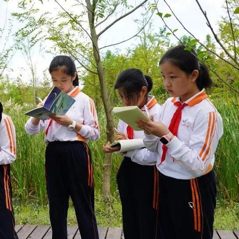 苏州市北桥中学怎么样