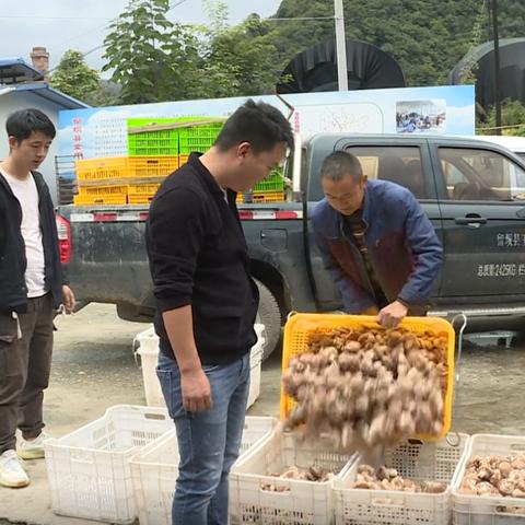 上海存货市场有哪些