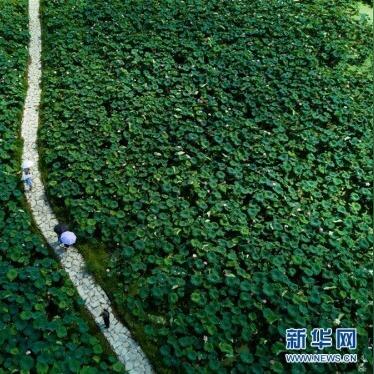 福建建宁哪个市