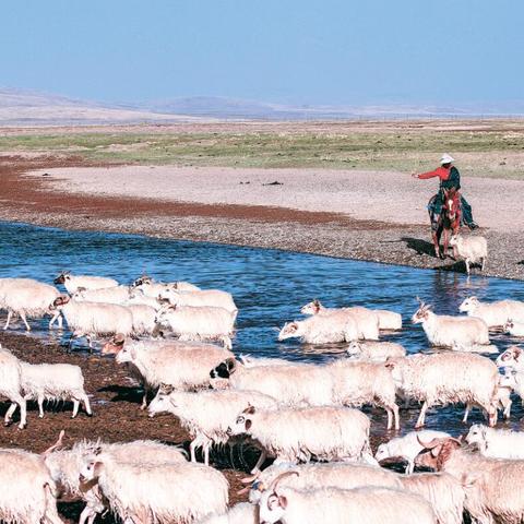 合肥源水家园有房产证吗？