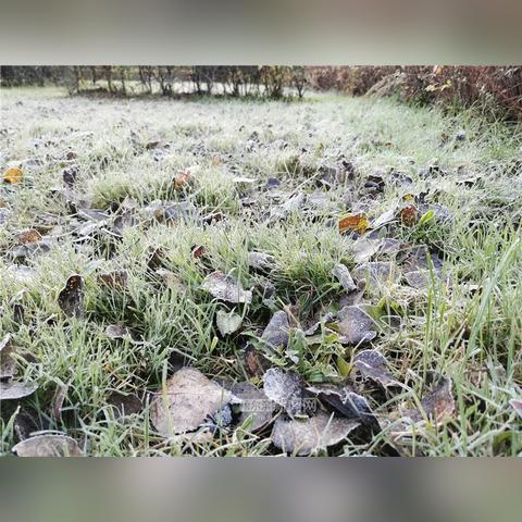 哈尔滨天气预报霜的长尾关键词有什么