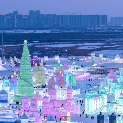 哈尔滨有能看花的地方吗？