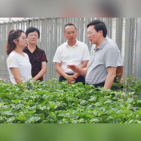 临沂市南坊餐饮的长尾关键词有什么