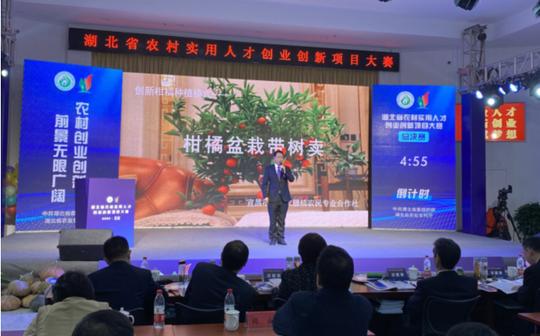 湖北省农村实用人才创业创新项目大赛落幕宜昌4个项目夺奖