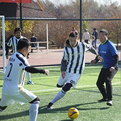 哈尔滨香坊区区长相关长尾关键词有哪些