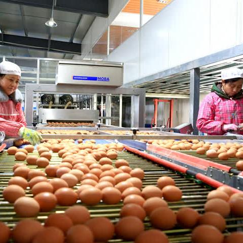 南通颗粒捕捉器怎么选用长尾关键词有什么