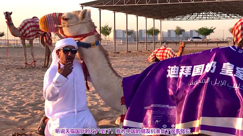 双11奶粉排行榜：揭秘最新市场热销产品