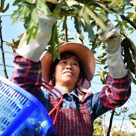 福建 哪个市工资