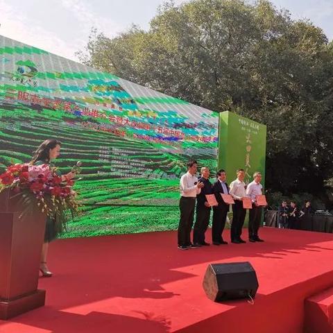 福建大田发展怎么样了