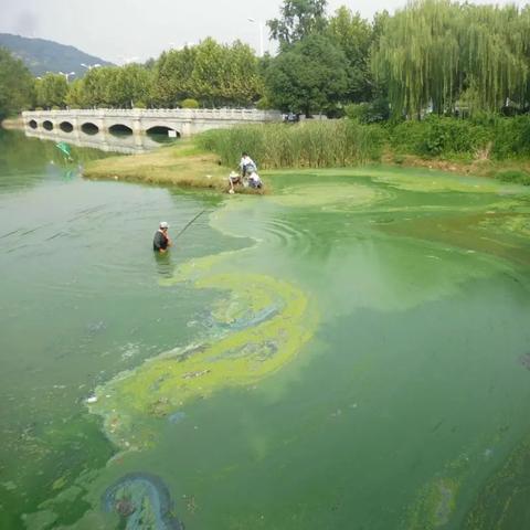 合肥市环境怎么样