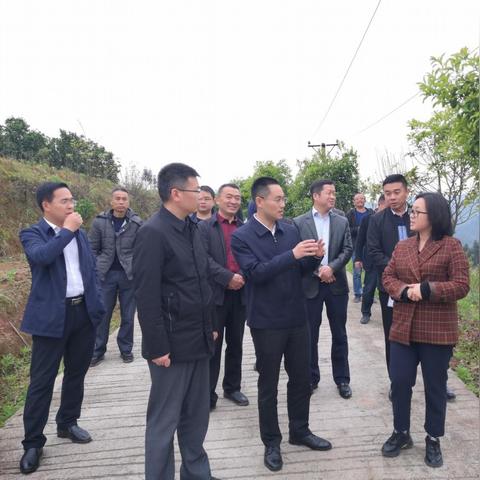 路畅 长沙相关长尾关键词有哪些