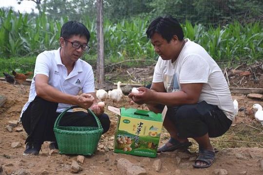 汝州夏店镇这个村的返乡创业人选择了啥行当赚钱致富？