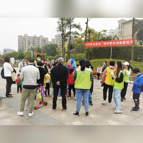 龙湖网站相关长尾关键词有哪些