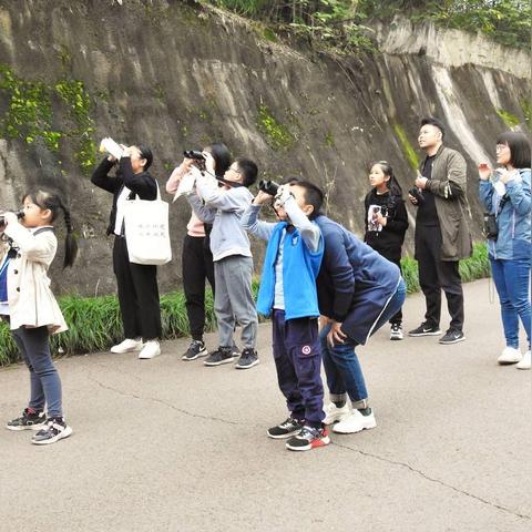 广州自贡区相关长尾关键词有哪些