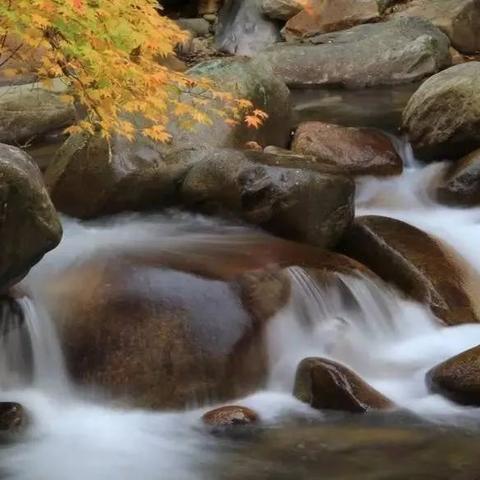 深圳市易快来怎么样