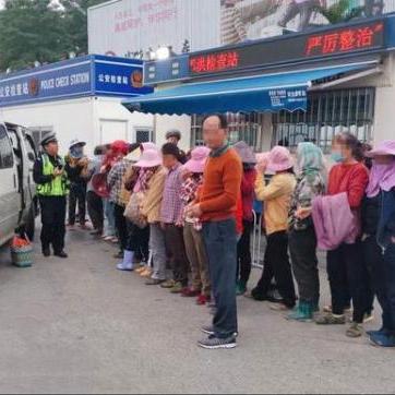 南宁市职工社保怎么查询