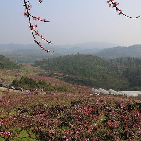 辰溪孝坪天气预报的长尾关键词有什么