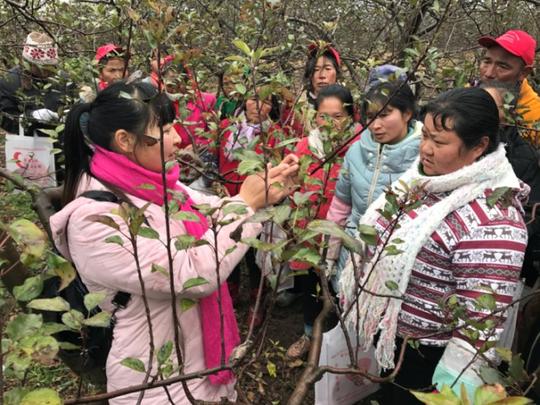 如何立足地方服务三农？昭通学院办法多