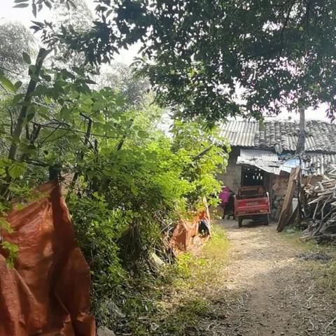 桂林市在哪里投诉公司