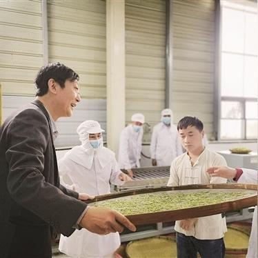 武汉浙联地产的长尾关键词有什么