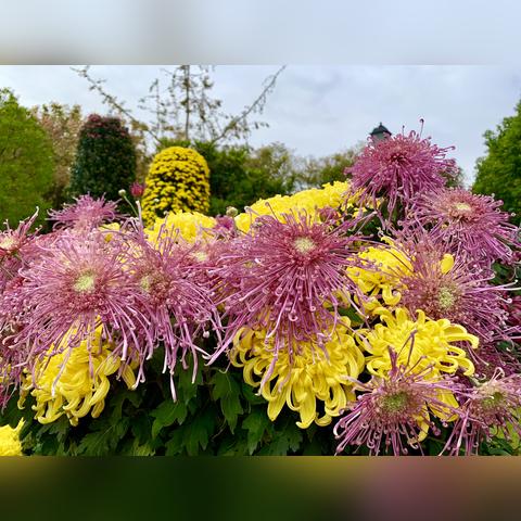 南通市政设计院长尾关键词有什么