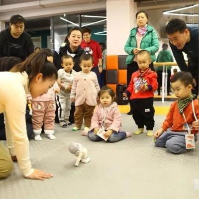 沈阳浑南花语幼儿园相关长尾关键词有哪些