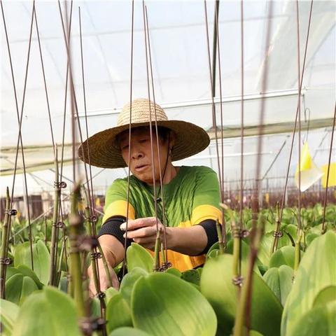 南通开发区花店相关长尾关键词有哪些