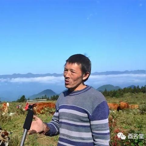 你的婚姻路上藏着哪些不为人知的波折？天马天哭夫妻宫解析