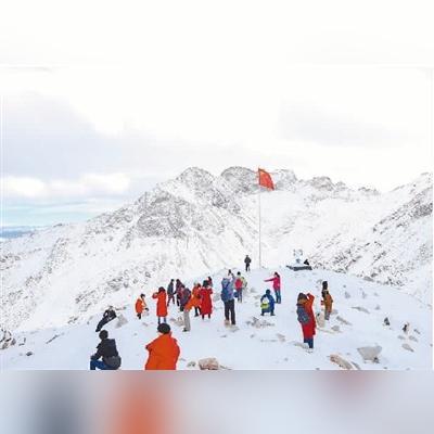 桂林市哪里有九品香莲卖