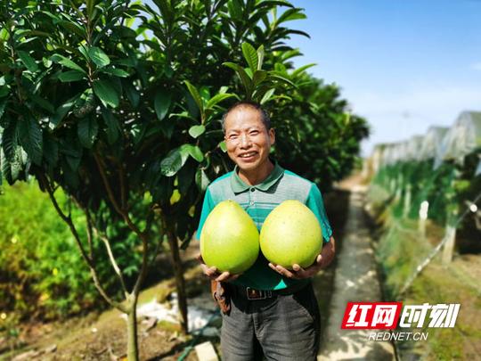 脱贫路上最美笑脸③丨鼎城刘光平：坎坷路上不言弃脱贫路上果飘香