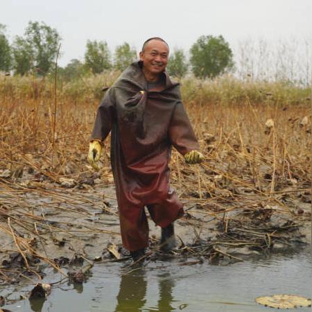 菏泽市哪里批玉米网