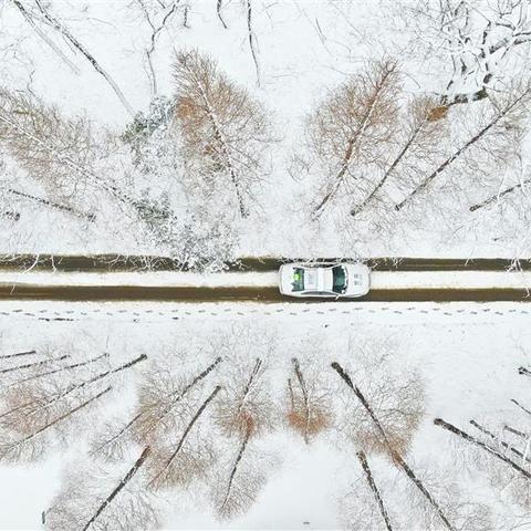 南通集装箱订制厂相关长尾关键词有哪些