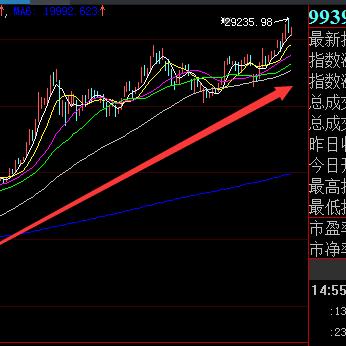 河南红啤怎么样