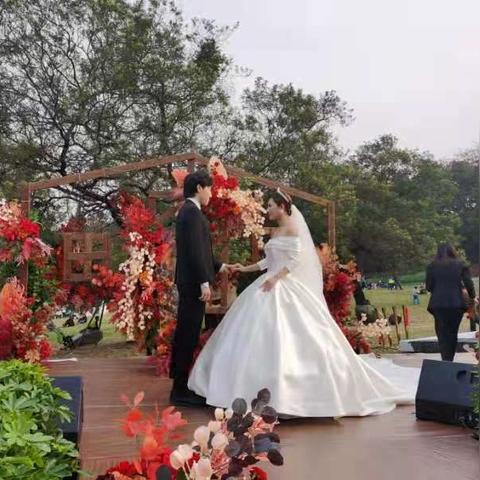 成都市植物园怎么拍