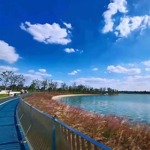 西安市高新区是什么级别
