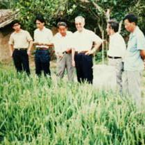 杂交版植物大战僵尸（杂交版植物大战僵尸，游戏新纪元）