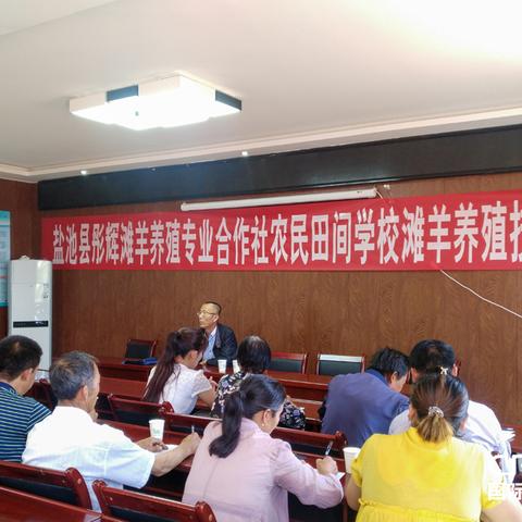 深圳市彤辉科技怎么样